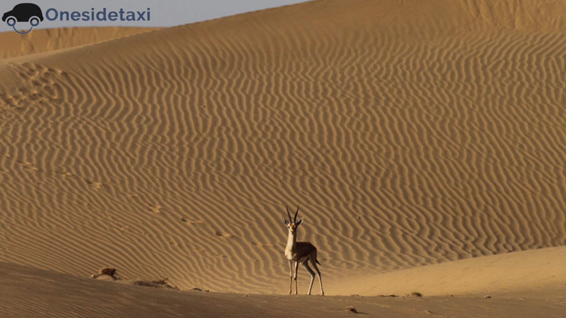 Desert National Park 