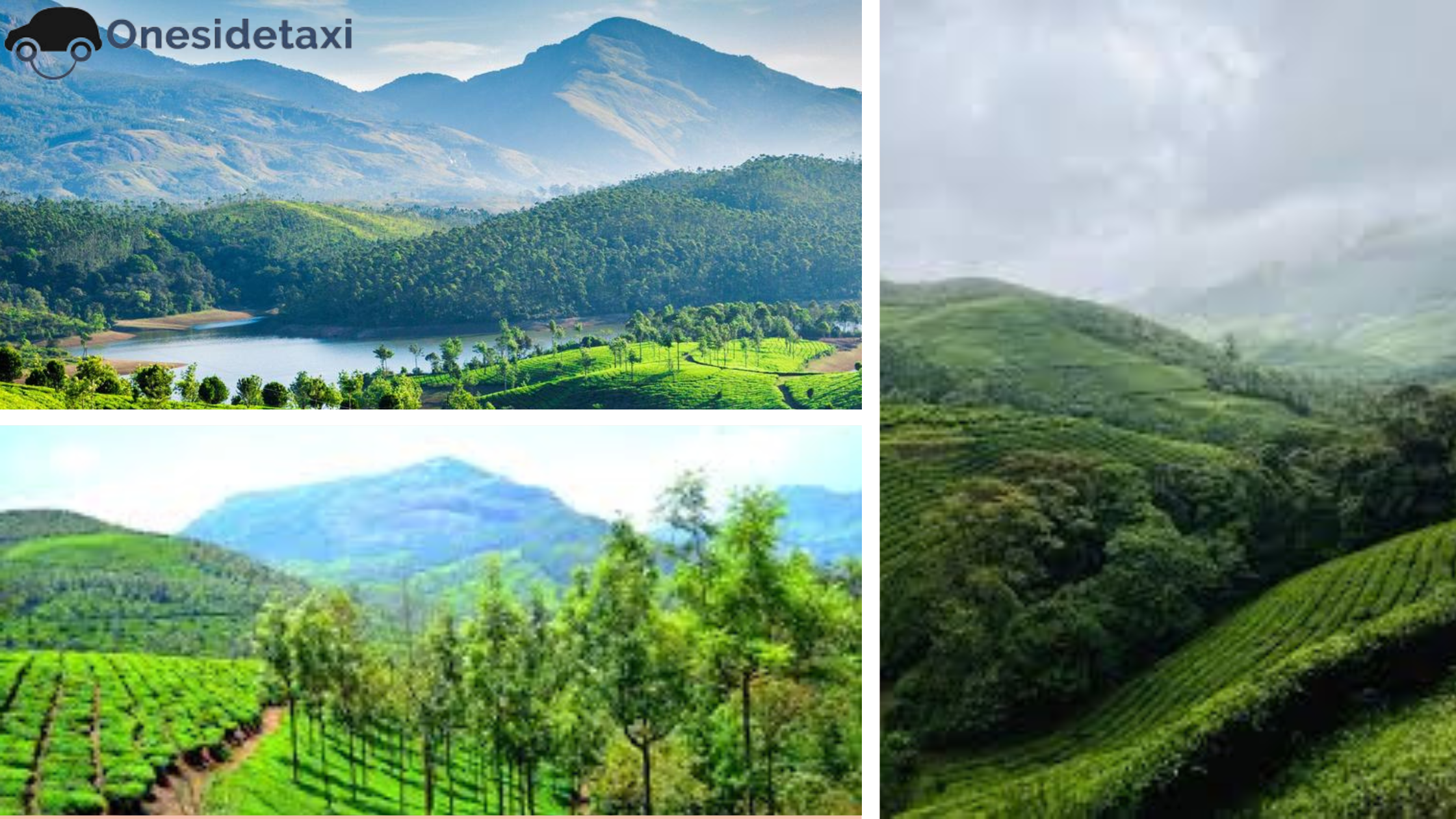 Munnar – The Queen of Hill Stations