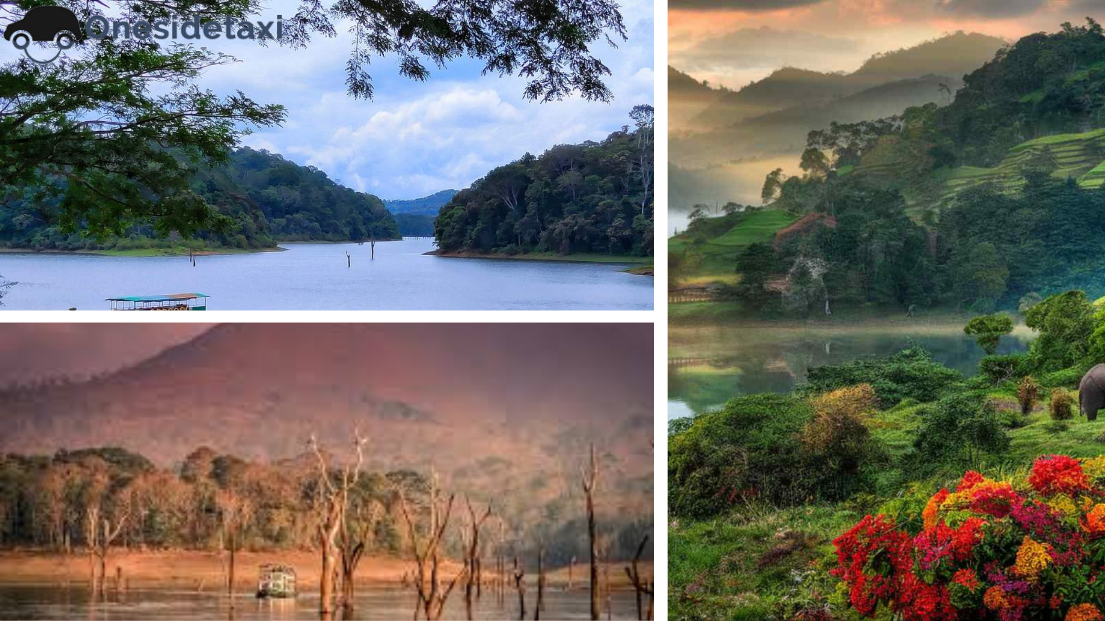 Thekkady- Top 10 Tourist Places in Kerala